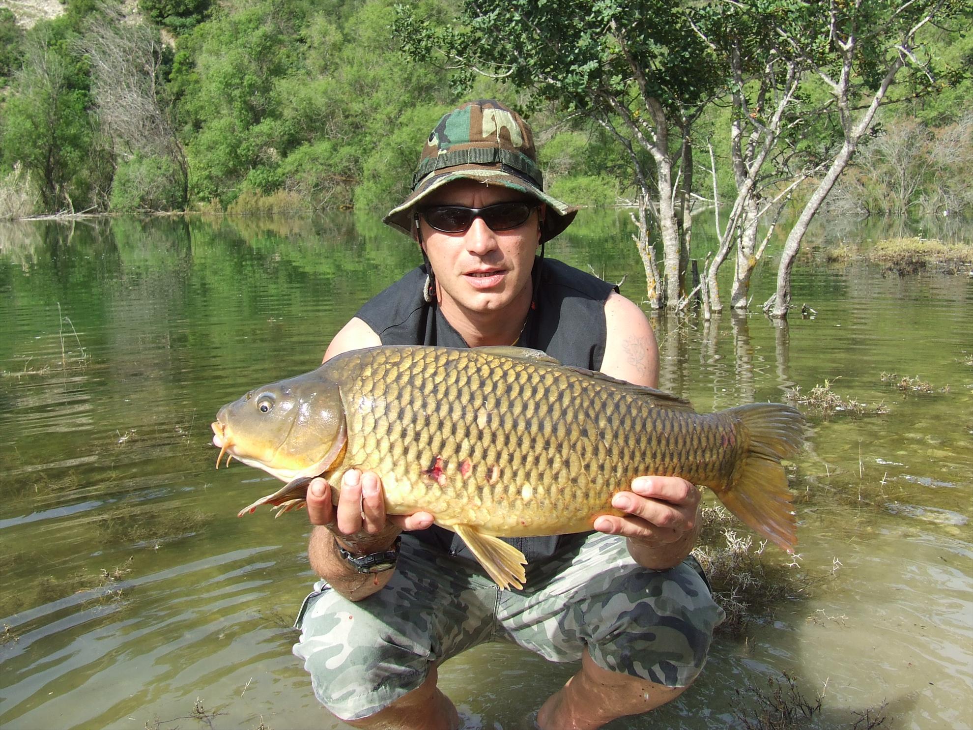 Crapi de Cipru - dscf1909.JPG